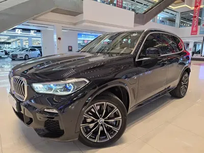 BMW X5 New Energy (Import)