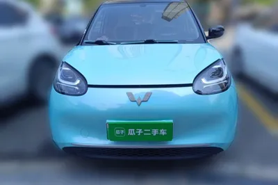 Wuling Bingo
