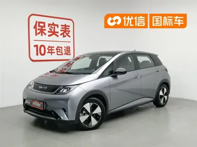 BYD Dolphin