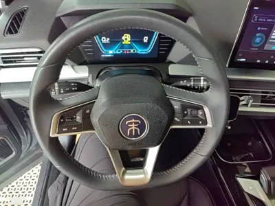 BYD Pro