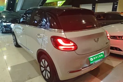 Wuling Bingo