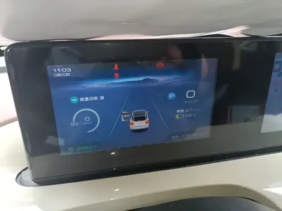 Wuling Bingo