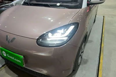 Wuling Bingo