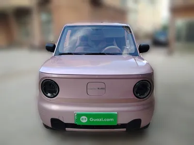 Geely Galaxy Panda