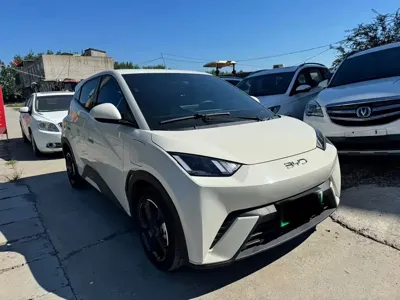 BYD Seagull