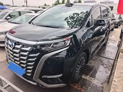 Denza Denza D9