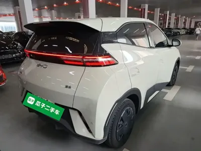 BYD Seagull