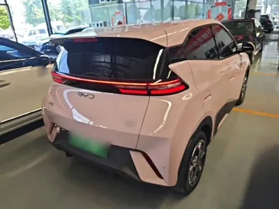 BYD Seagull