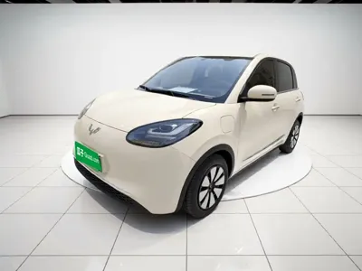 Wuling Bingo