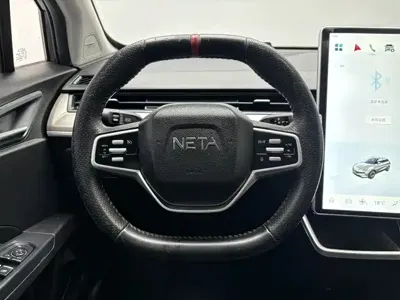 NETA Neta V