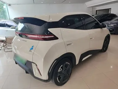 BYD Seagull