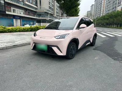 BYD Seagull