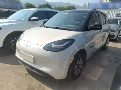 Wuling Bingo
