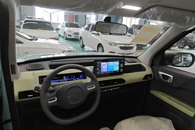 Geely Galaxy Panda