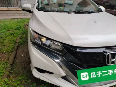 Honda Gienia