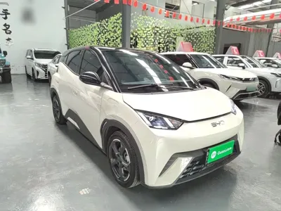 BYD Seagull