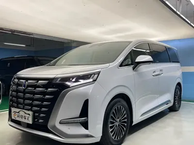 Denza Denza D9