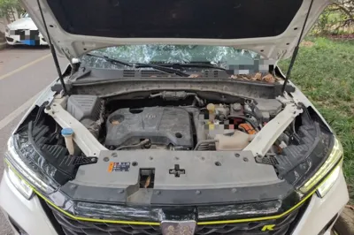 Roewe RX5 New Energy