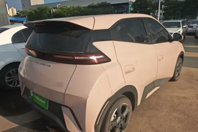 BYD Seagull