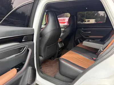 BYD PLUS
