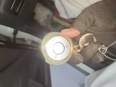 NETA Neta V
