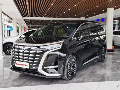 Denza Denza D9