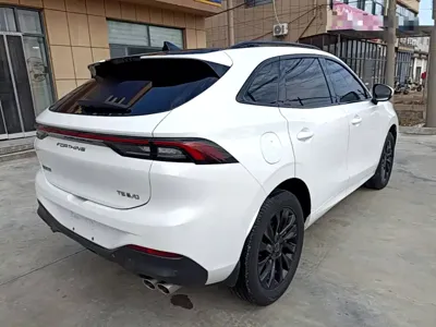 Fengxing Fengxing T5 EVO