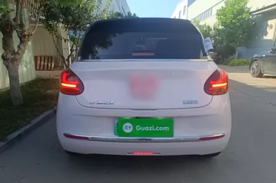 Wuling Bingo
