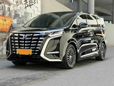 Denza Denza D9