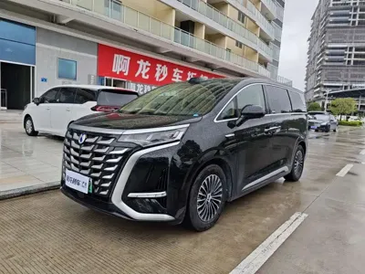 Denza Denza D9