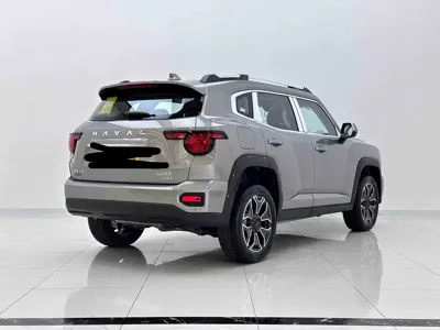 Haval 哈弗大狗 PLUS 新能源