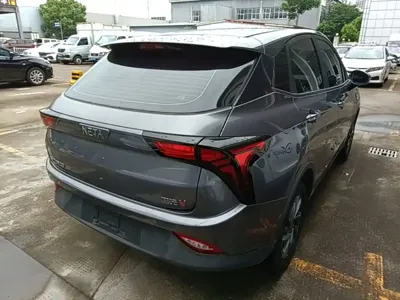 NETA Neta V