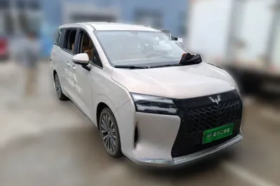 Wuling Wuling Starlight 730