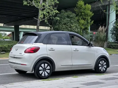 Wuling Bingo