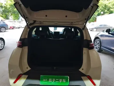 BYD Seagull