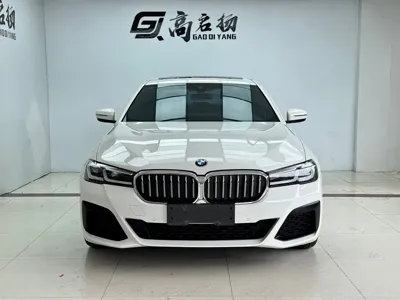 BMW 5 Series (Import)