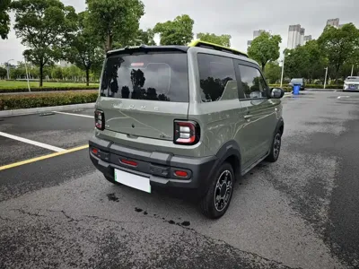 Galaxy Panda