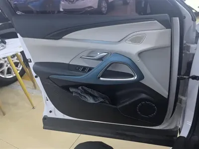 BYD Pro