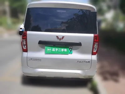 Wuling Zhiguang New Energy