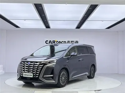Denza Denza D9