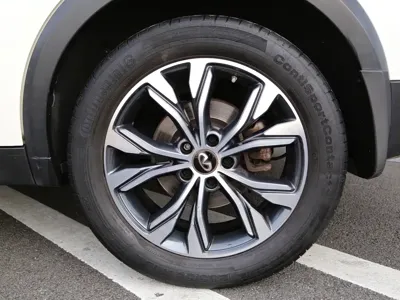 Infiniti QX30