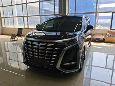 Denza Denza D9