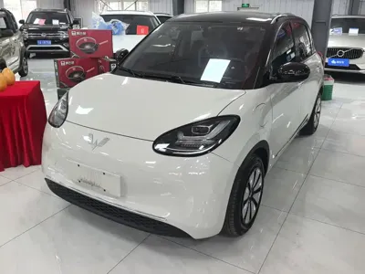 Wuling Bingo