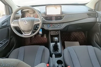 Baojun 310