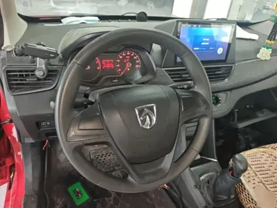 Baojun 310