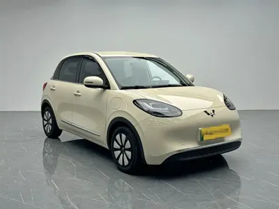 Wuling Bingo