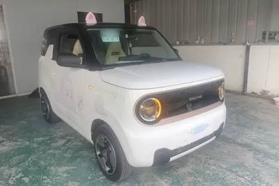Geely Galaxy Panda