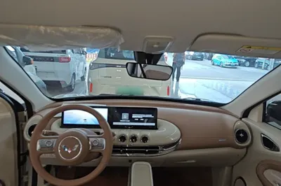 Wuling Bingo