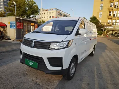Ruixiang V2 EV