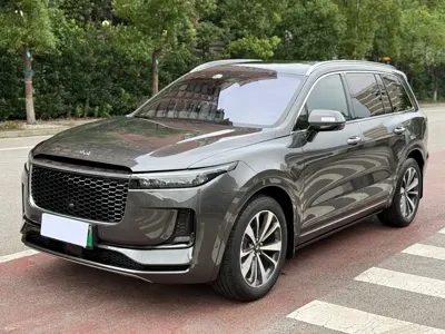 Li Auto Li ONE